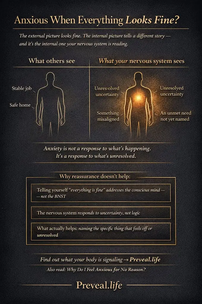 Infographic: Feeling Unsettled When Everything Looks Fine? Two columns — What others see: stable situation, nothing obviously wrong. What your body feels: unresolved inner tension, something misaligned, a need not yet named. Key insight: The body can feel unsettled long after the surface looks calm. What actually helps: naming the specific thing that feels off.